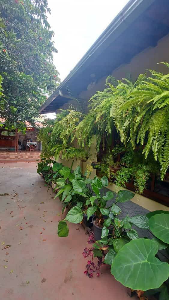 casa 3 quartos - churrasqueira
